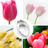 The image features a product called a "tulip petal cutter set of 2." In the center, there are two metal petal cutters shaped like tulip petals. Surrounding the cutters are various images of tulip flowers in different colors, including pink, red, and yellow. The tulips are shown in close-up, highlighting their vibrant colors and delicate details, with some displaying water droplets on their petals. The overall presentation emphasizes both the product and the beauty of tulip flowers.