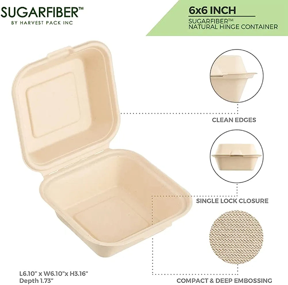 An open 6x6 inch natural hinge container made from sugar fiber. The container is beige with clean edges and a single lock closure. It features a compact design with deep embossing visible on the material. Text on the image includes dimensions (L6.10" x W6.10" x H3.16", Depth 1.73") and the brand name, SugarFiber by Harvest Pack Inc.