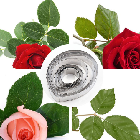 A collection of rose leaves and roses surrounds a circular set of six stainless steel cookie cutters designed in the shape of rose leaves. The cookie cutters are positioned in the center of the image, with vibrant red and pink roses displayed alongside green rose leaves. The overall theme highlights the floral design of the cookie cutter set.