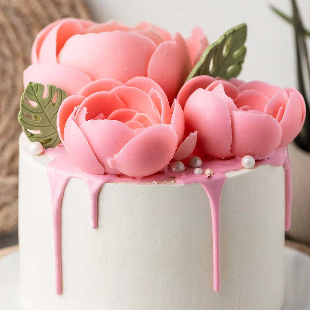 Chefmaster Candy Color - Sweet Pink 18g