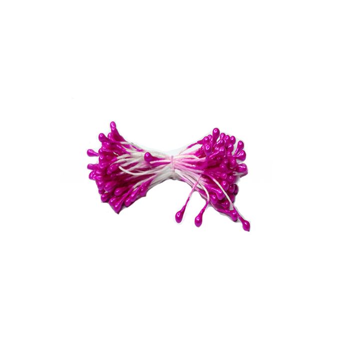 A bunch of bright magenta flower stamen cluster. The stamen have white stems and rounded pink tips, creating a vibrant and cheerful appearance.