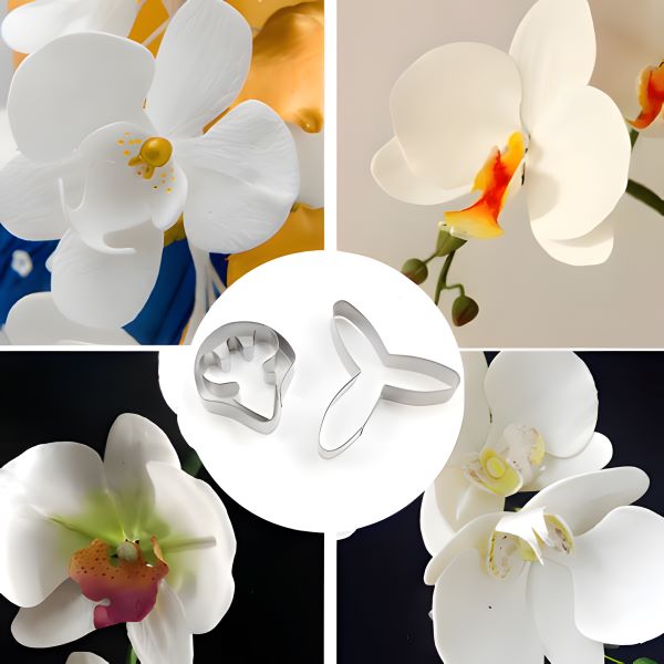 A collage featuring various white orchid flowers and a set of three metal cutters for shaping orchid petals. The top left section shows a close-up of an orchid with a yellow center. The top right section features another orchid with a yellow and orange mark. The bottom left corner displays a different white orchid, while the bottom right section shows a white orchid with a hint of pink. In the center, there are three metal cutters shaped like an orchid petal, positioned on a circular background.