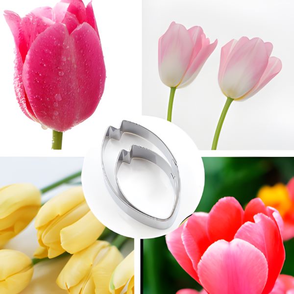 The image features a product called a "tulip petal cutter set of 2." In the center, there are two metal petal cutters shaped like tulip petals. Surrounding the cutters are various images of tulip flowers in different colors, including pink, red, and yellow. The tulips are shown in close-up, highlighting their vibrant colors and delicate details, with some displaying water droplets on their petals. The overall presentation emphasizes both the product and the beauty of tulip flowers.