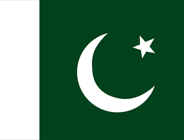 Pakistani Flag Elegance Cake – Sacha's Cakes